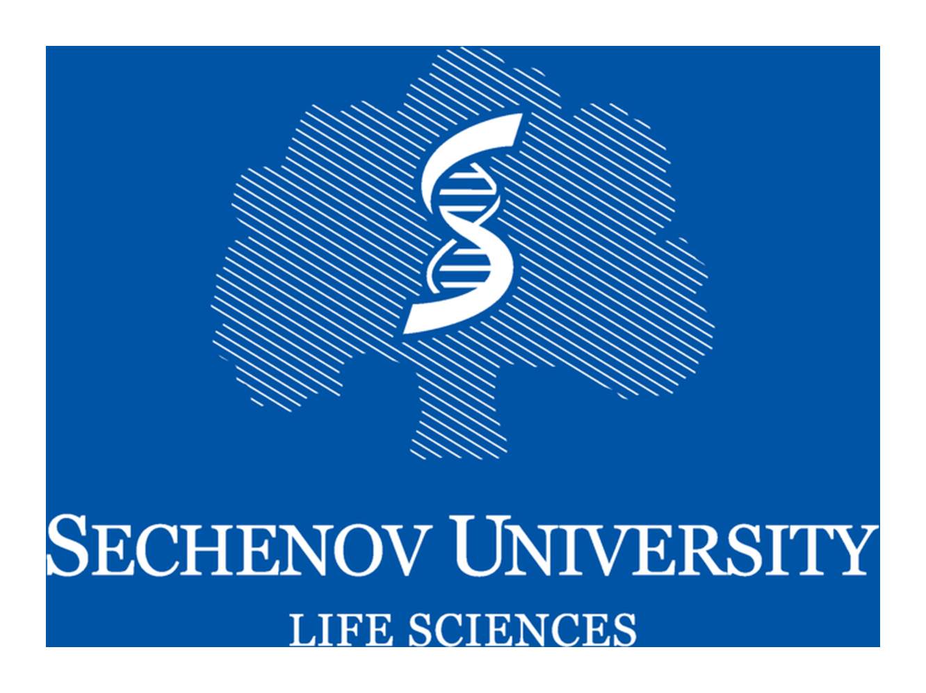 Sechenov University